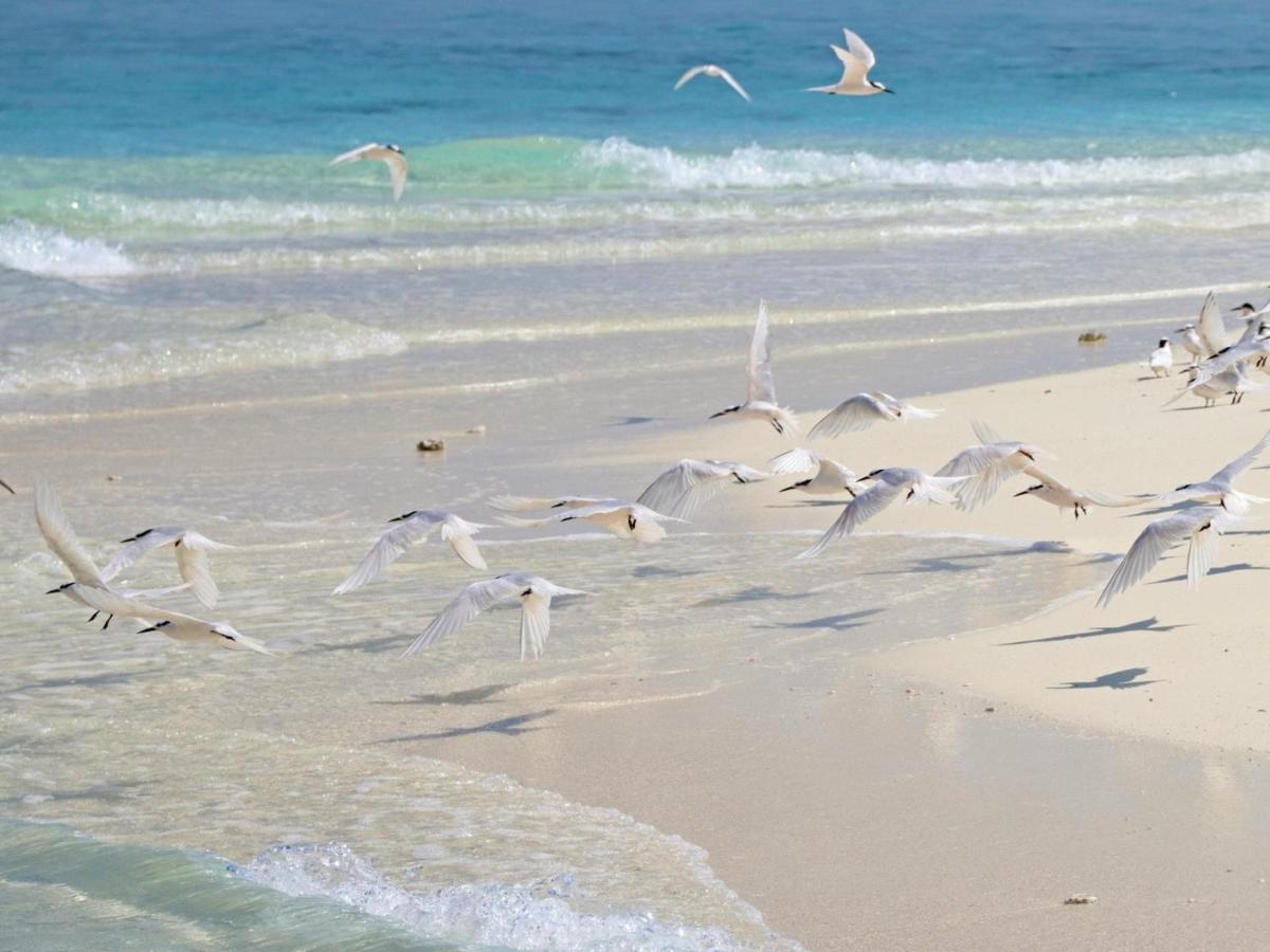 Kiha Beach Dharavandhoo Bagian luar foto