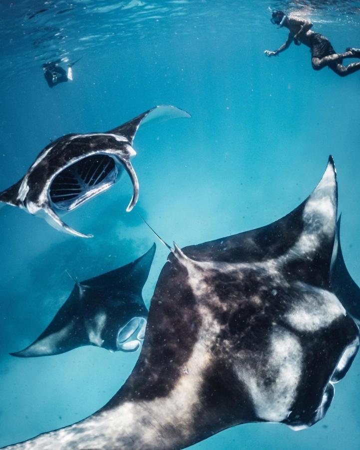 Kiha Beach Dharavandhoo Bagian luar foto